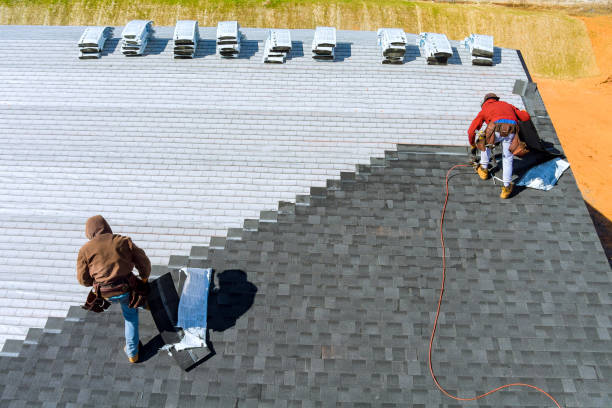 Best Roof Gutter Cleaning  in Trenton, NJ